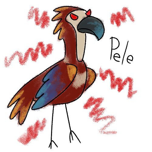 a scribbled drawing of a juvenile red moa that appears to be very angry. next to her is her name, 'pele'